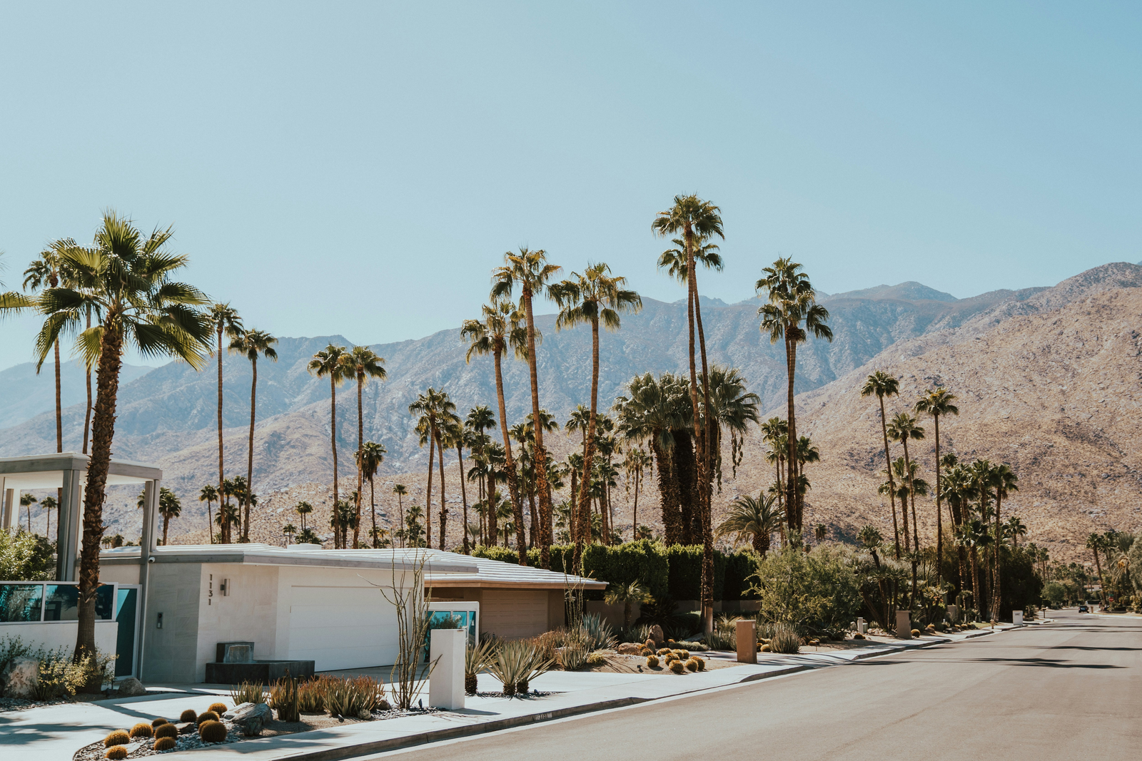 Mid-century Palm Springs street with palm trees and desert mountains